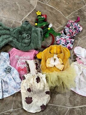 Eight piece girl dog clothing set